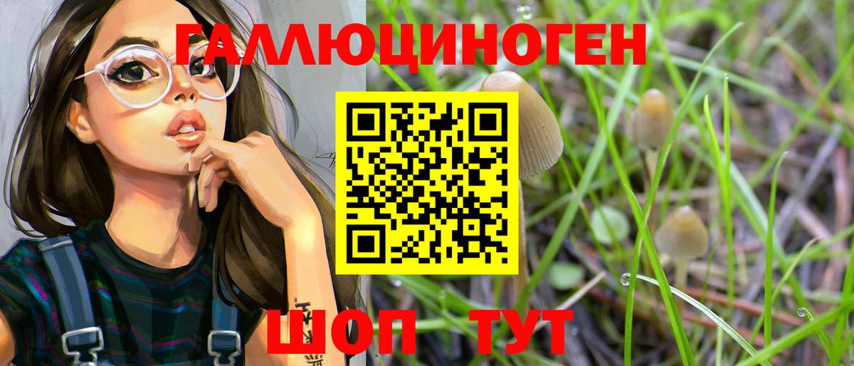 Псилоцибиновые грибы мицелий Котовск
