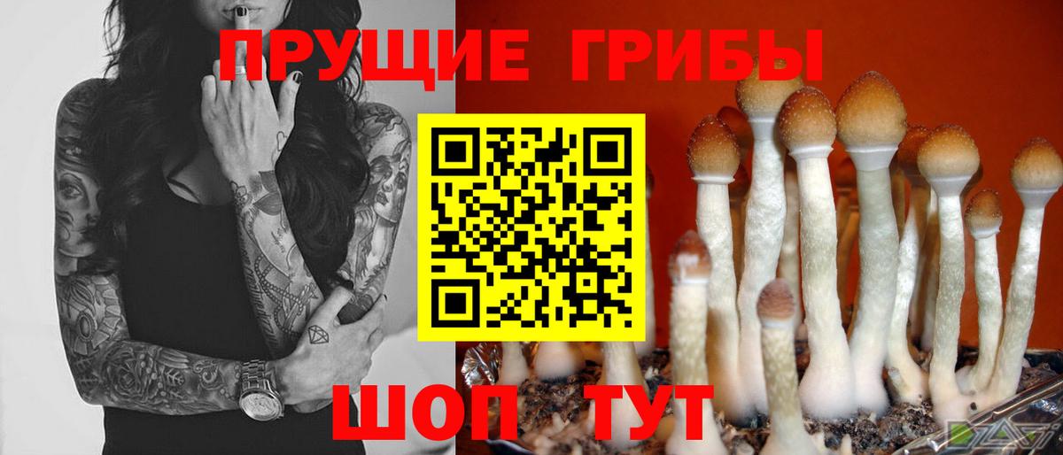 где найти наркотики  Галлюциногенные грибы мухоморы  Вход с VPN  Котовск 