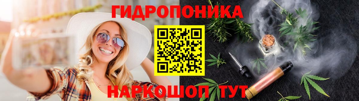Котовск  Шишки марихуана Bruce Banner  Вход с VPN  Шишки марихуана сатива 